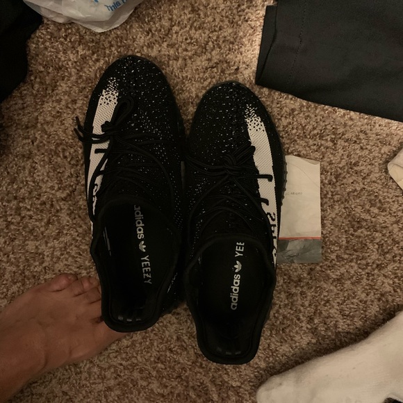 Shies - Picture 2 of 3